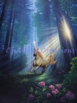 Secret Forest (image for) Secret Forest